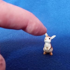 Baby Bunny Collectables